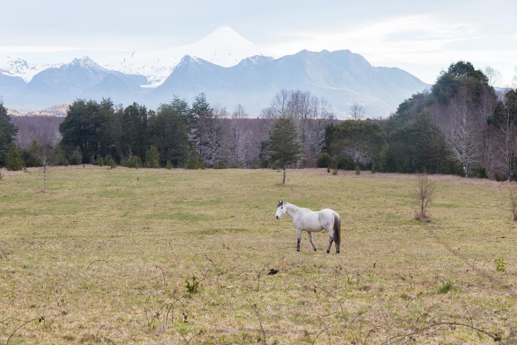 Casa De Campo Buenavista Pucón Exteriér fotografie
